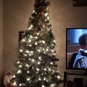 Meet your Posher, Dee